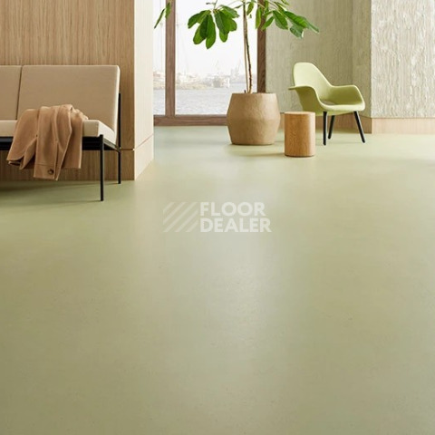 Forbo Marmoleum Solid Cocoa 3593 matcha фото 2 | FLOORDEALER